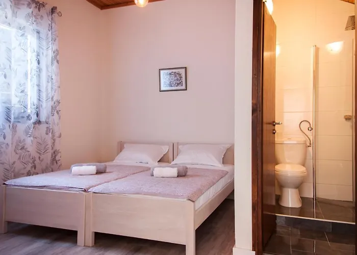 Vendégház Domus Albus 3*