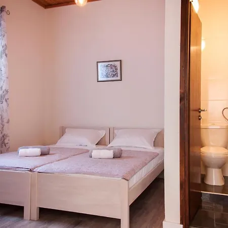 Guest house Domus Albus 3*